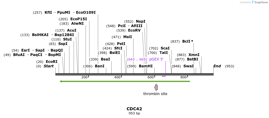 92817_map