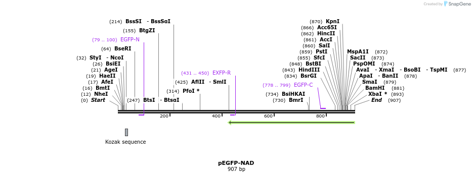 92819_map