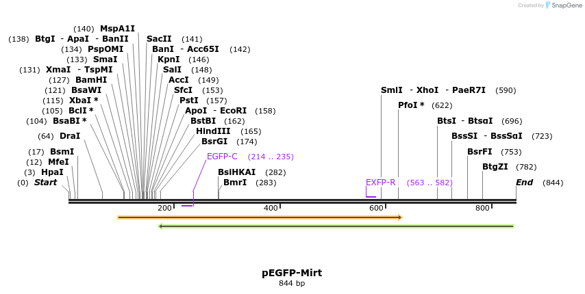 92823_map