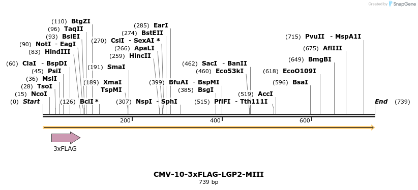92831_map