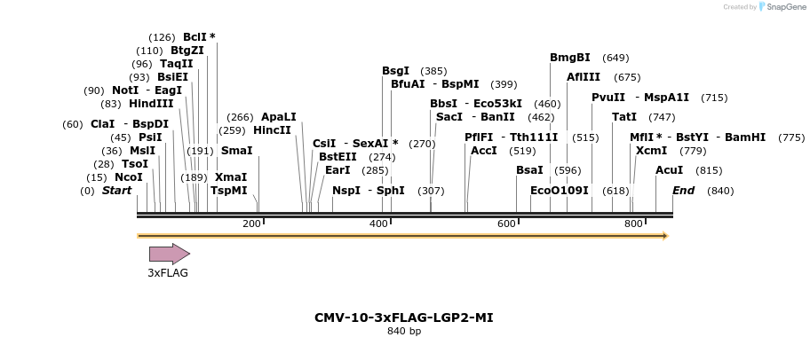 92834_map