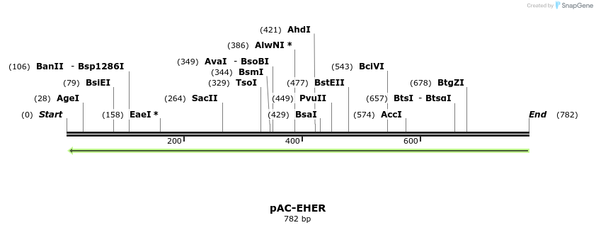 92836_map