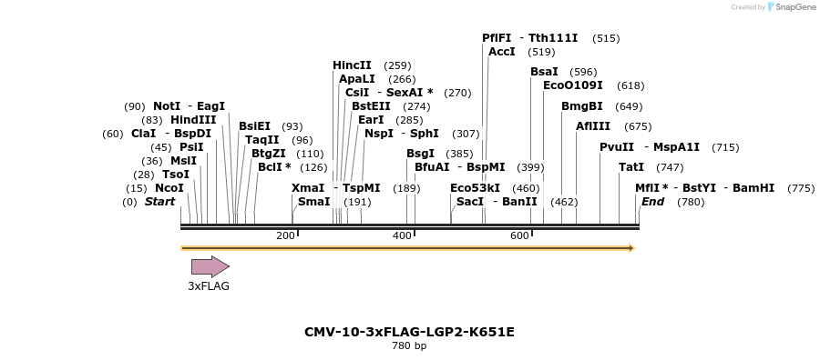 92839_map