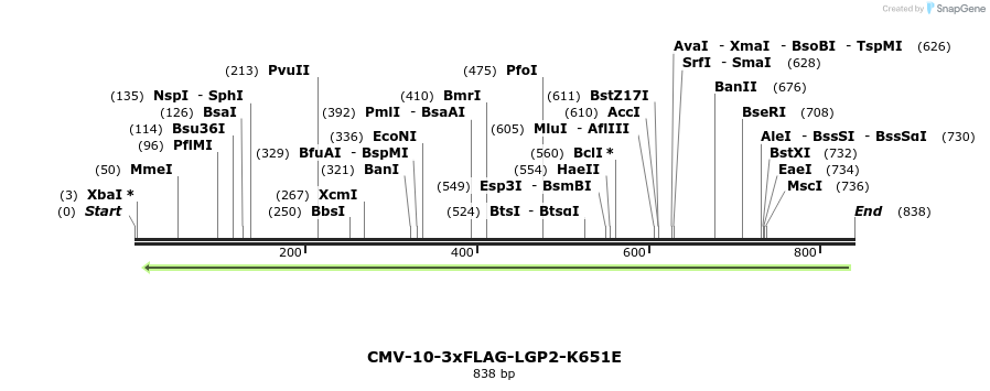 92842_map