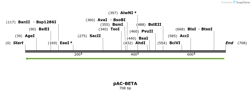 92843_map
