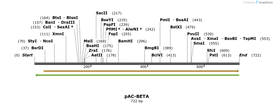 92844_map