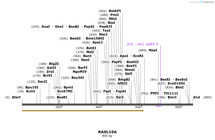 92845_map