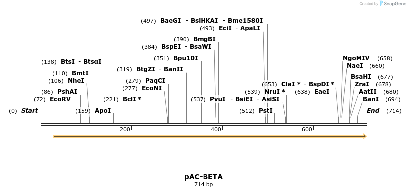 92846_map