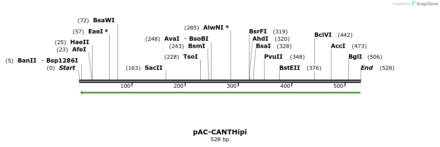 92851_map