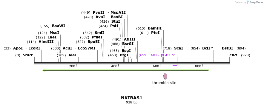 92855_map