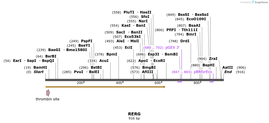 92856_map
