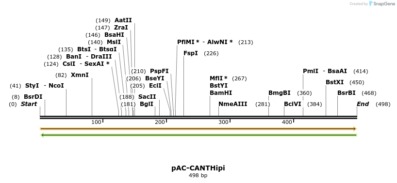 92858_map