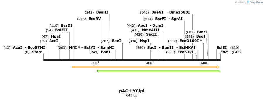 92859_map