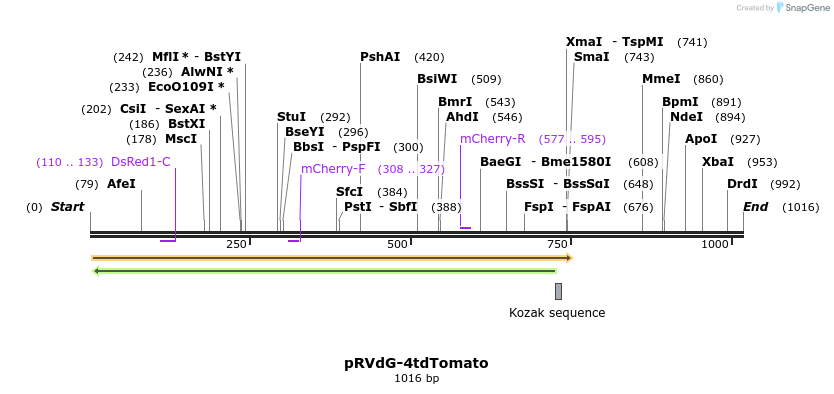 92860_map