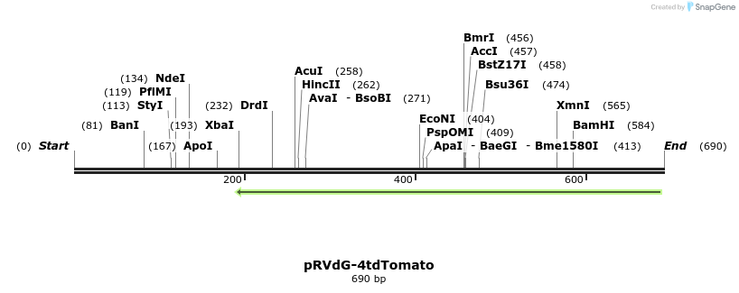 92861_map
