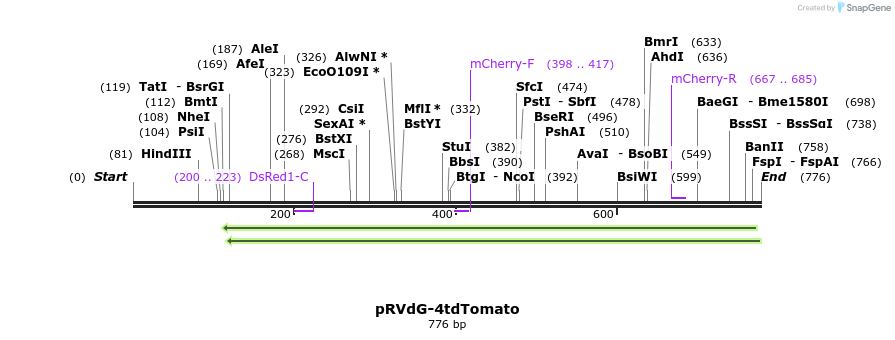 92864_map