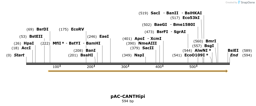 92865_map