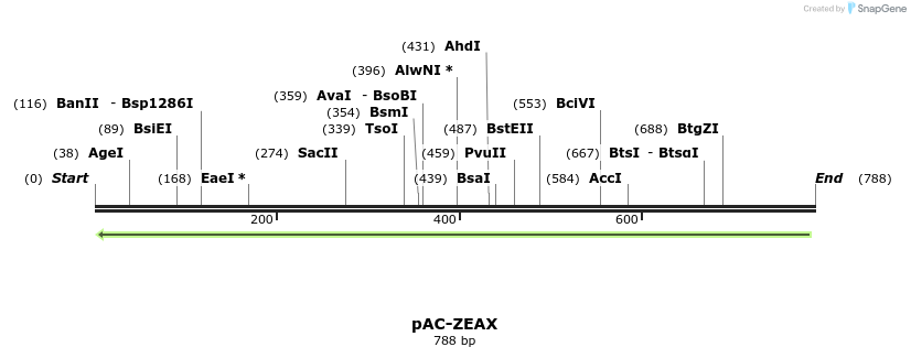 92867_map