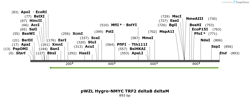 92868_map