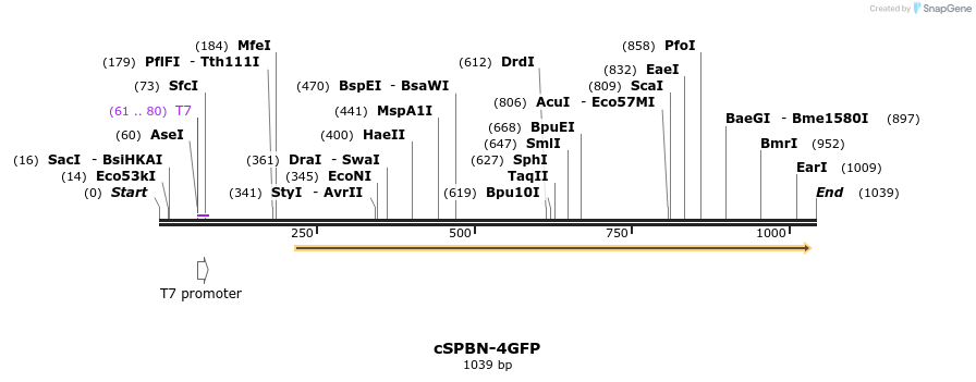 92869_map