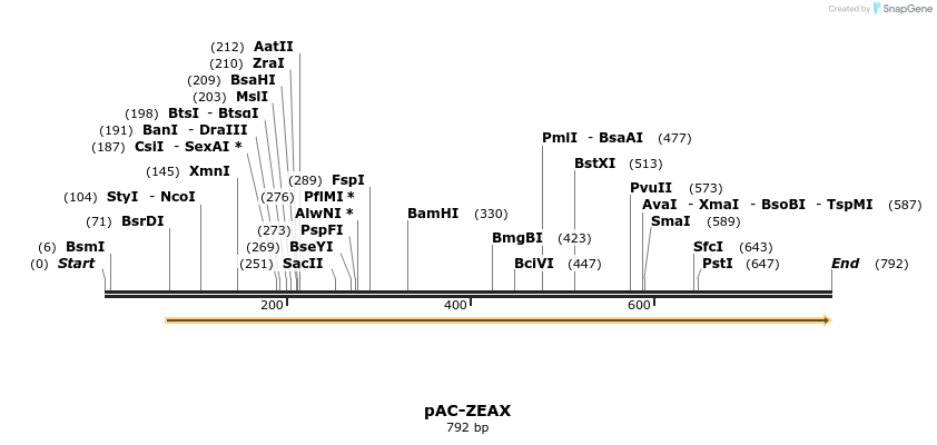 92871_map
