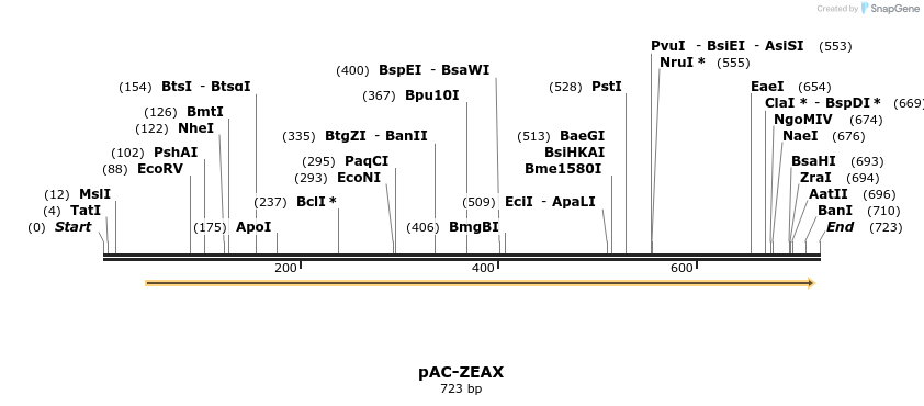 92872_map