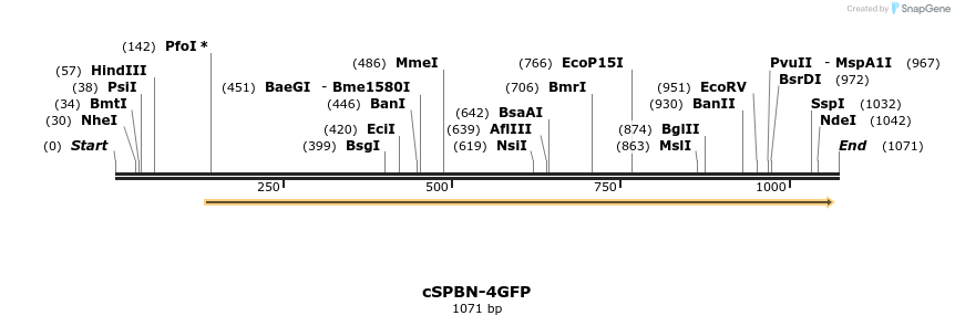 92873_map