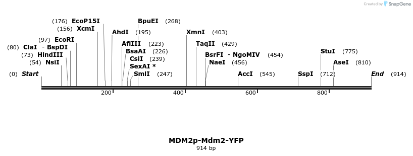 92875_map
