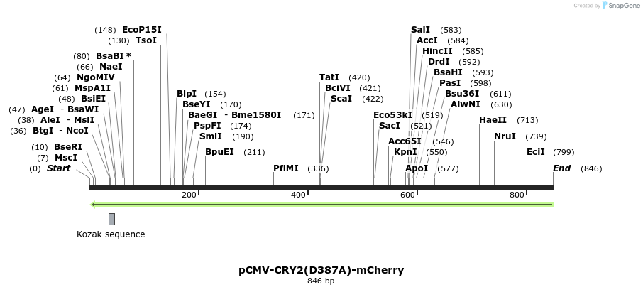 92877_map