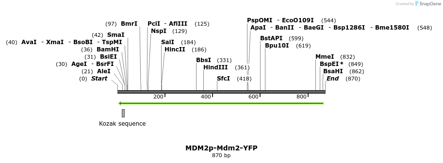 92878_map