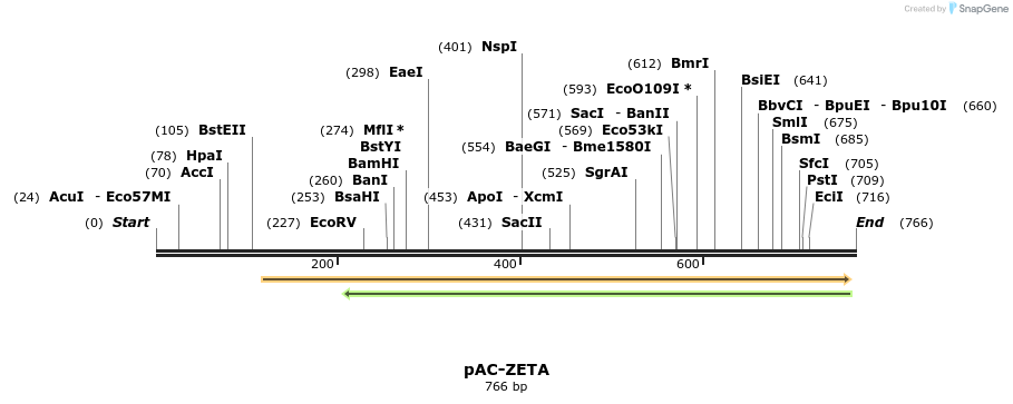 92880_map