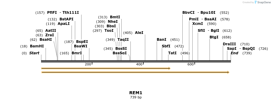 92881_map