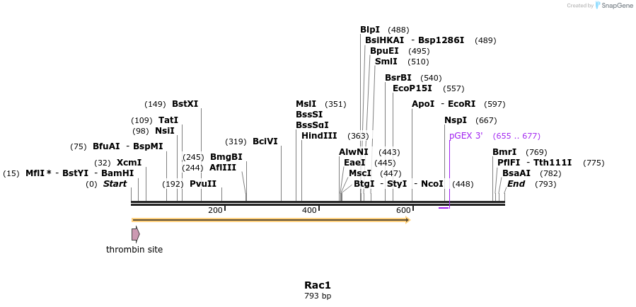 92883_map