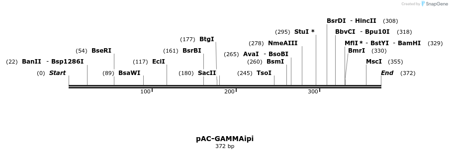 92885_map