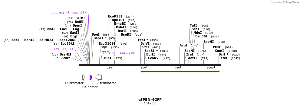 92888_map