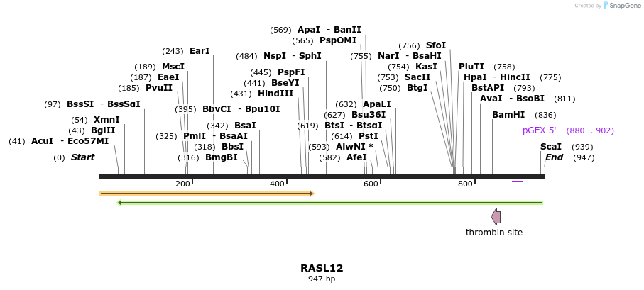 92889_map