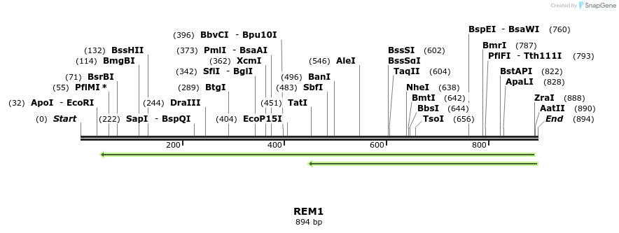 92890_map