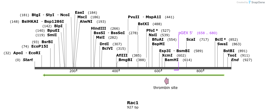 92892_map