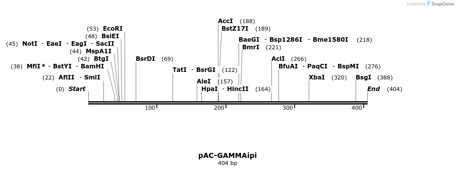 92895_map