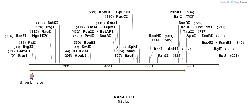 92896_map
