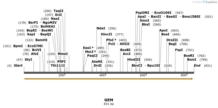 92898_map