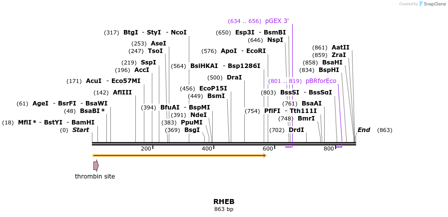 92900_map