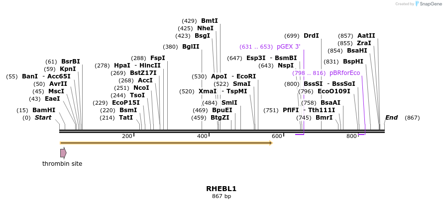 92901_map
