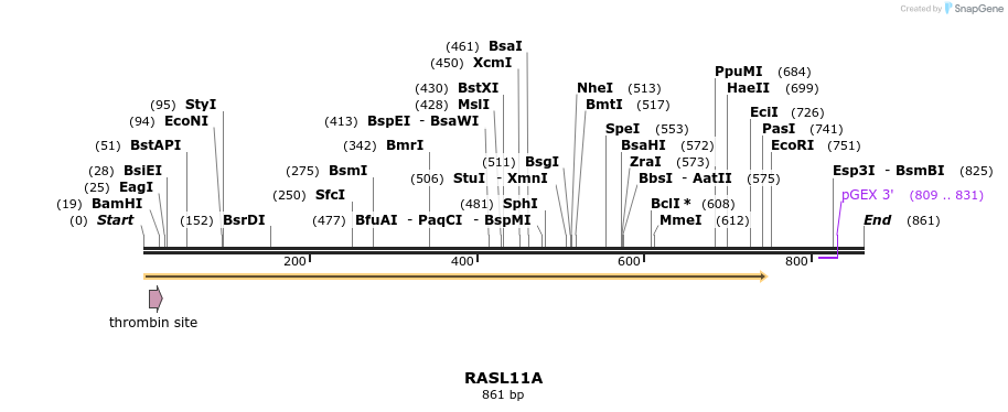 92902_map