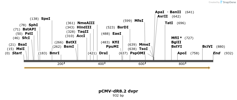 92904_map