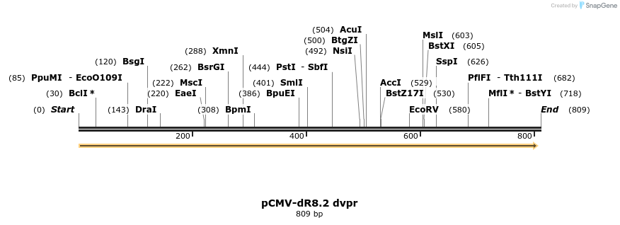 92905_map