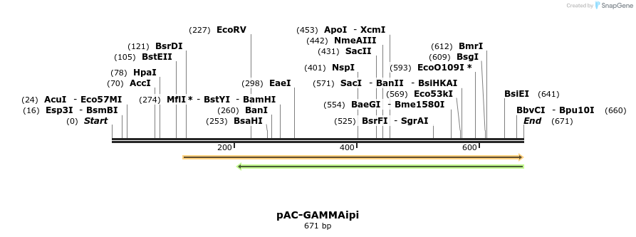 92910_map