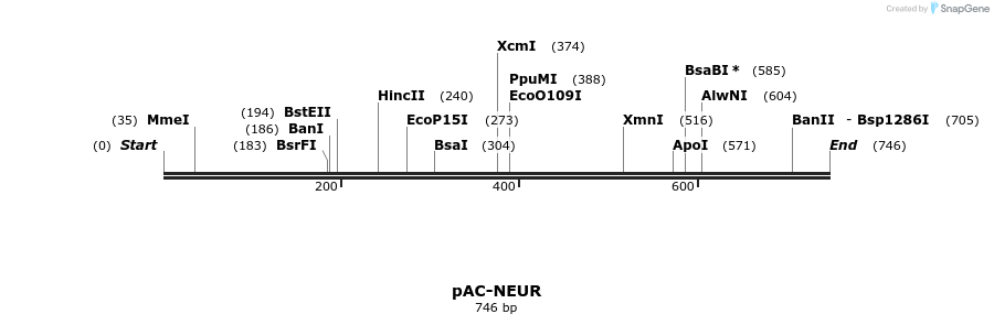92913_map