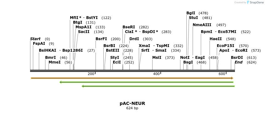 92915_map