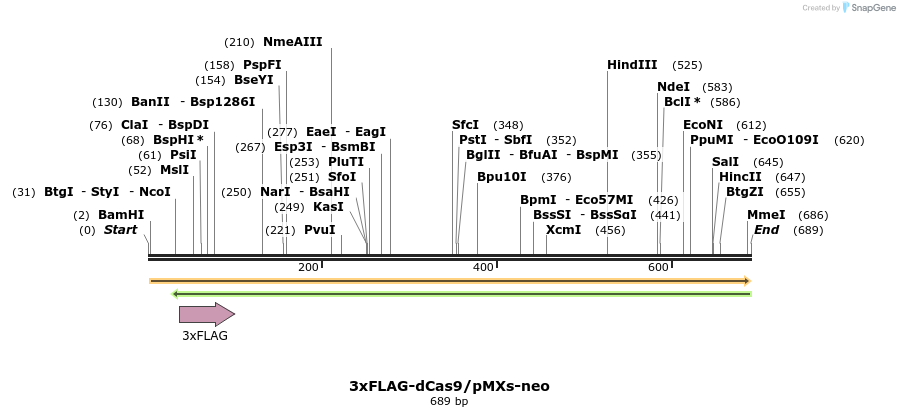 92917_map